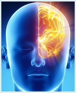 neurologia